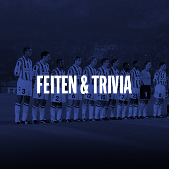 Feiten & Trivia 